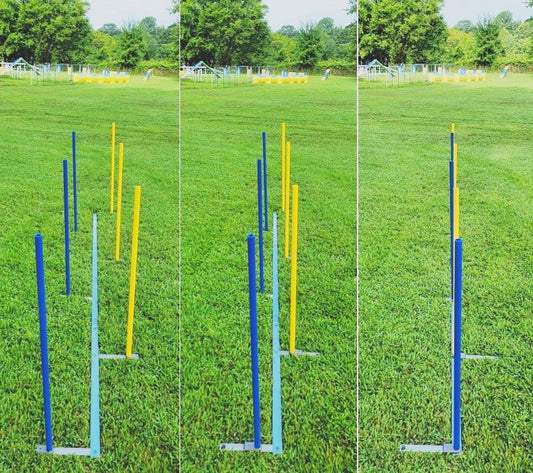 Training weaves - 6 poles