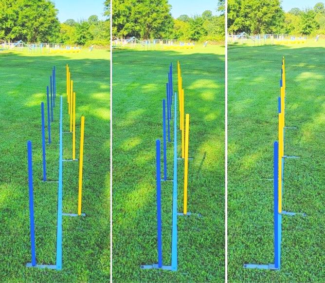 Training weaves - 12 poles