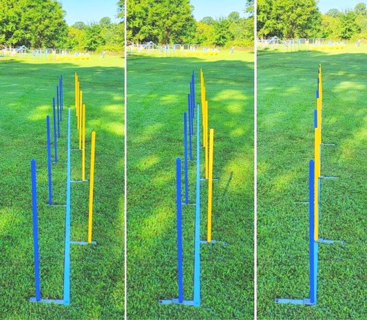 Training weaves - 12 poles